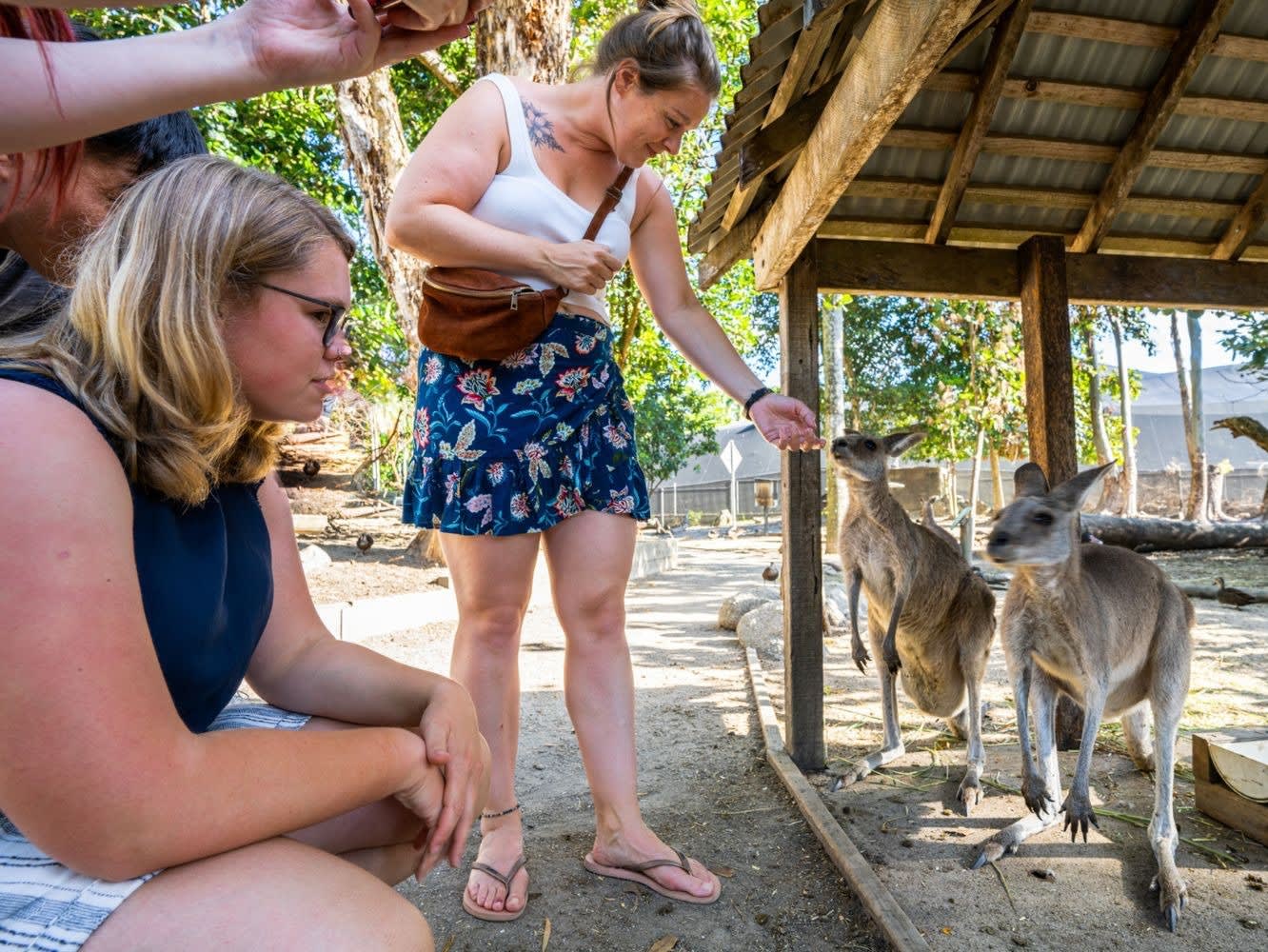 Daintree, Mossman Gorge & Wildlife Tour