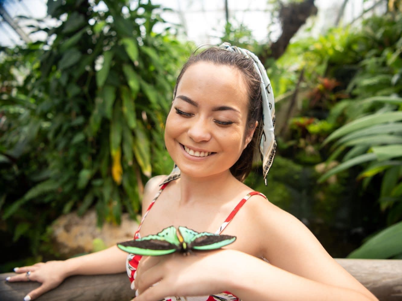 Australian Butterfly Sanctuary Entry