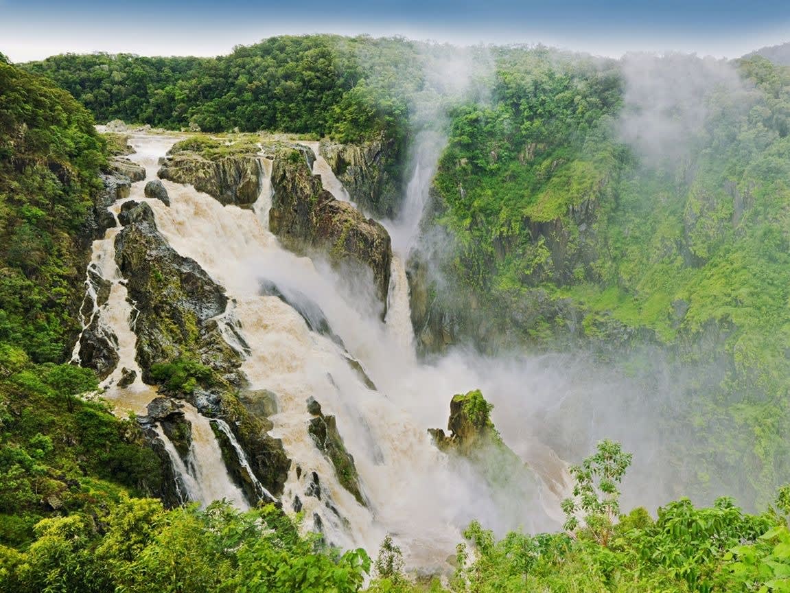 Rainforest & Waterfalls Half Day Tour
