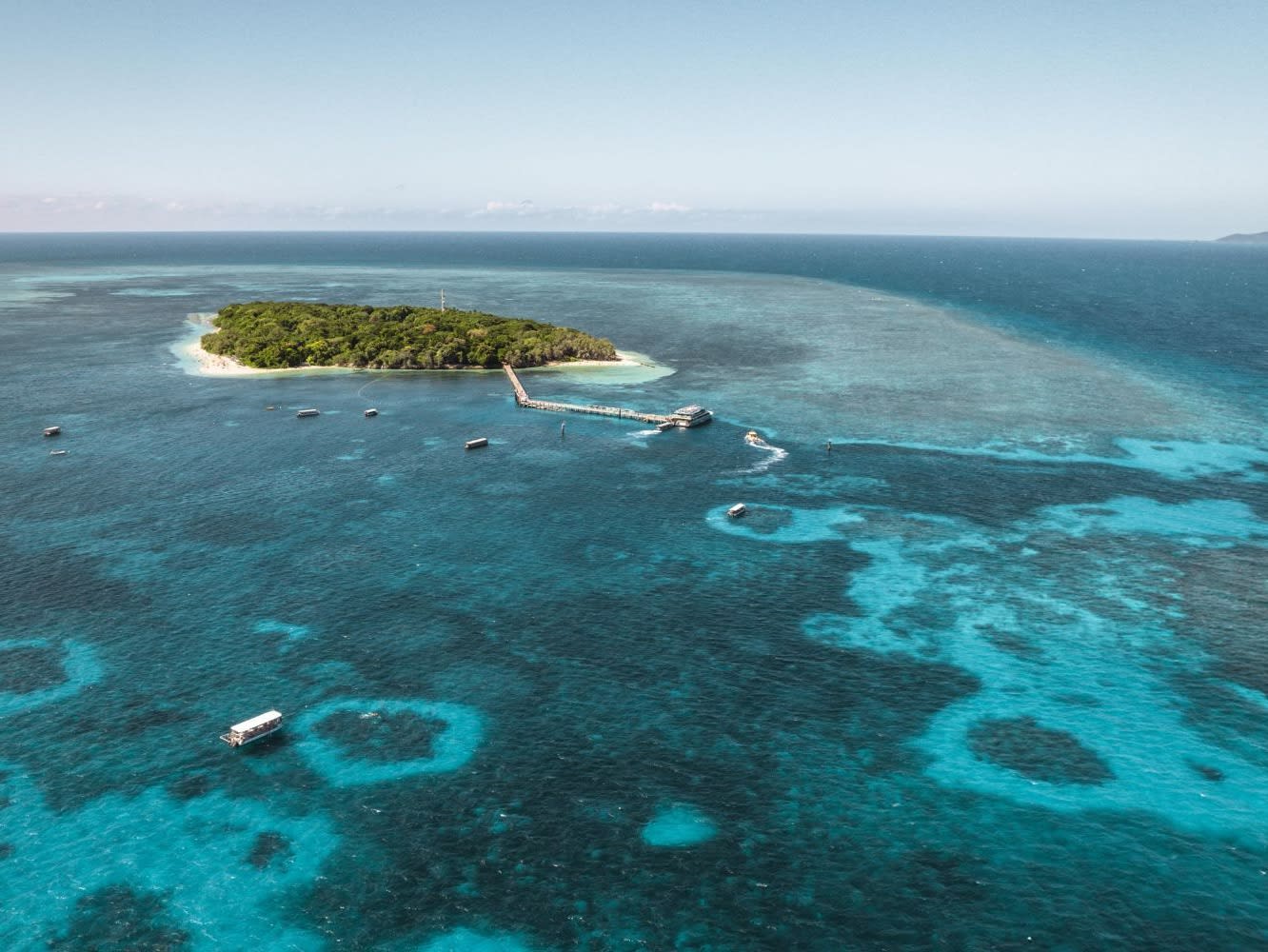 A Snorkel Safari Adventure - Green Island