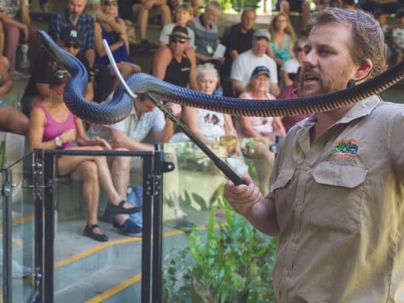 ハートリーズ・クロコダイル・アドベンチャーズ 入園チケット