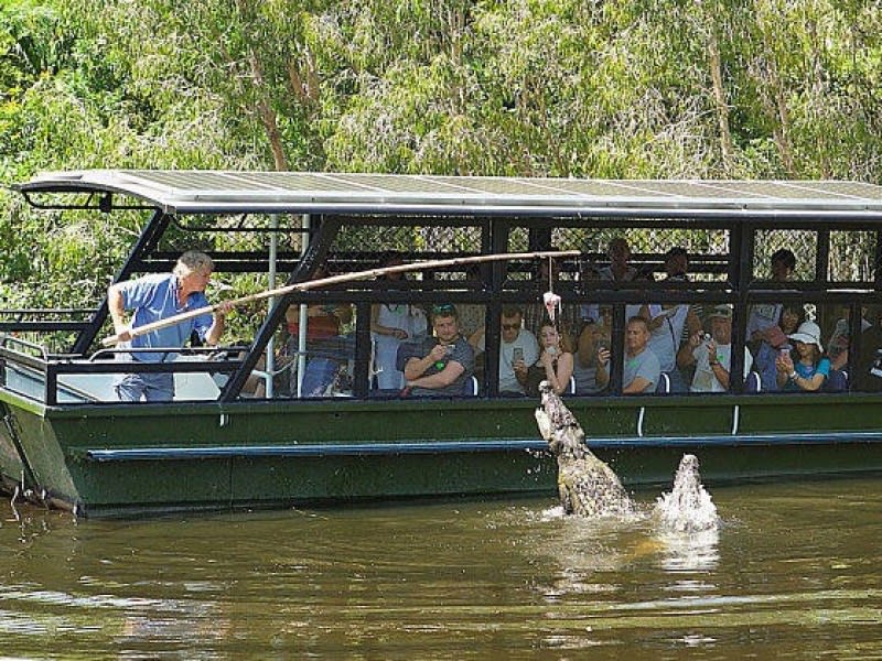 ハートリーズ・クロコダイル・アドベンチャーズ 入園チケット