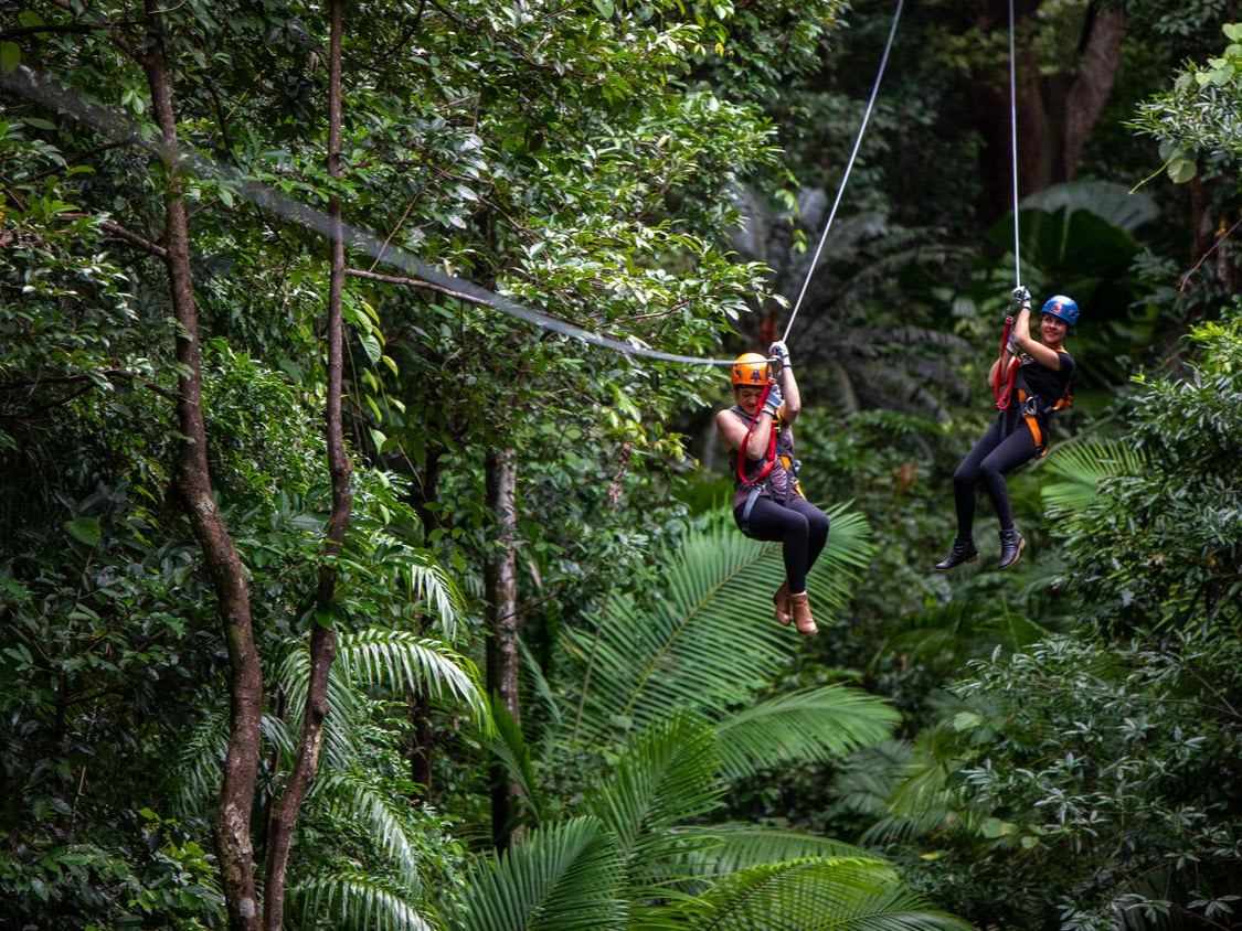 2日間のデイントリー・ディスカバー：熱帯雨林、サンゴ礁＆ジップライン