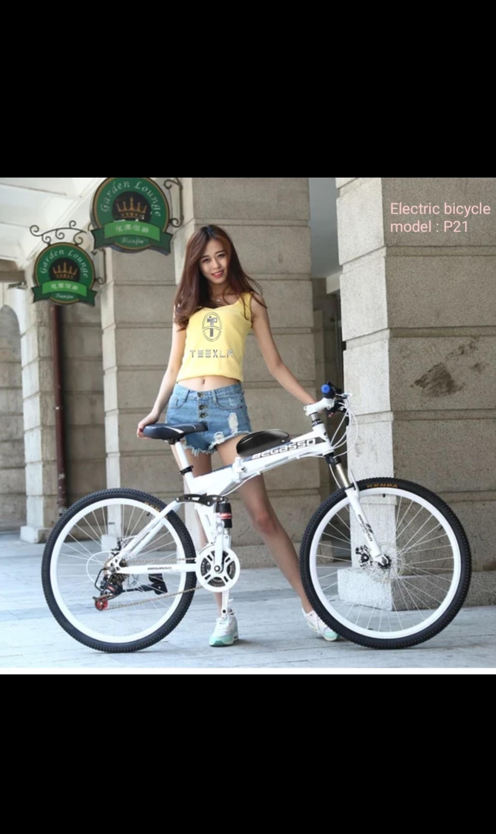 Foldable Electric bicycle 26 size