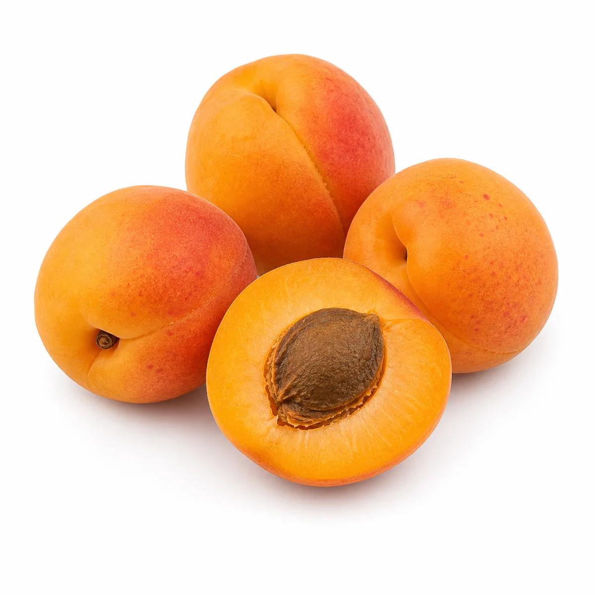 Ladakh Apricot