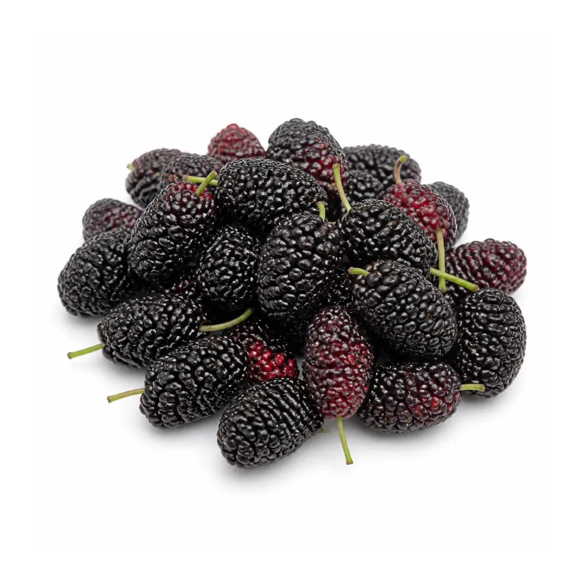 Organic Mulberry