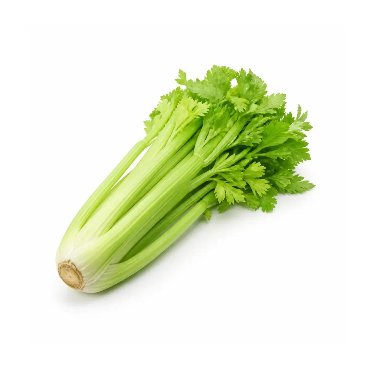 Celery