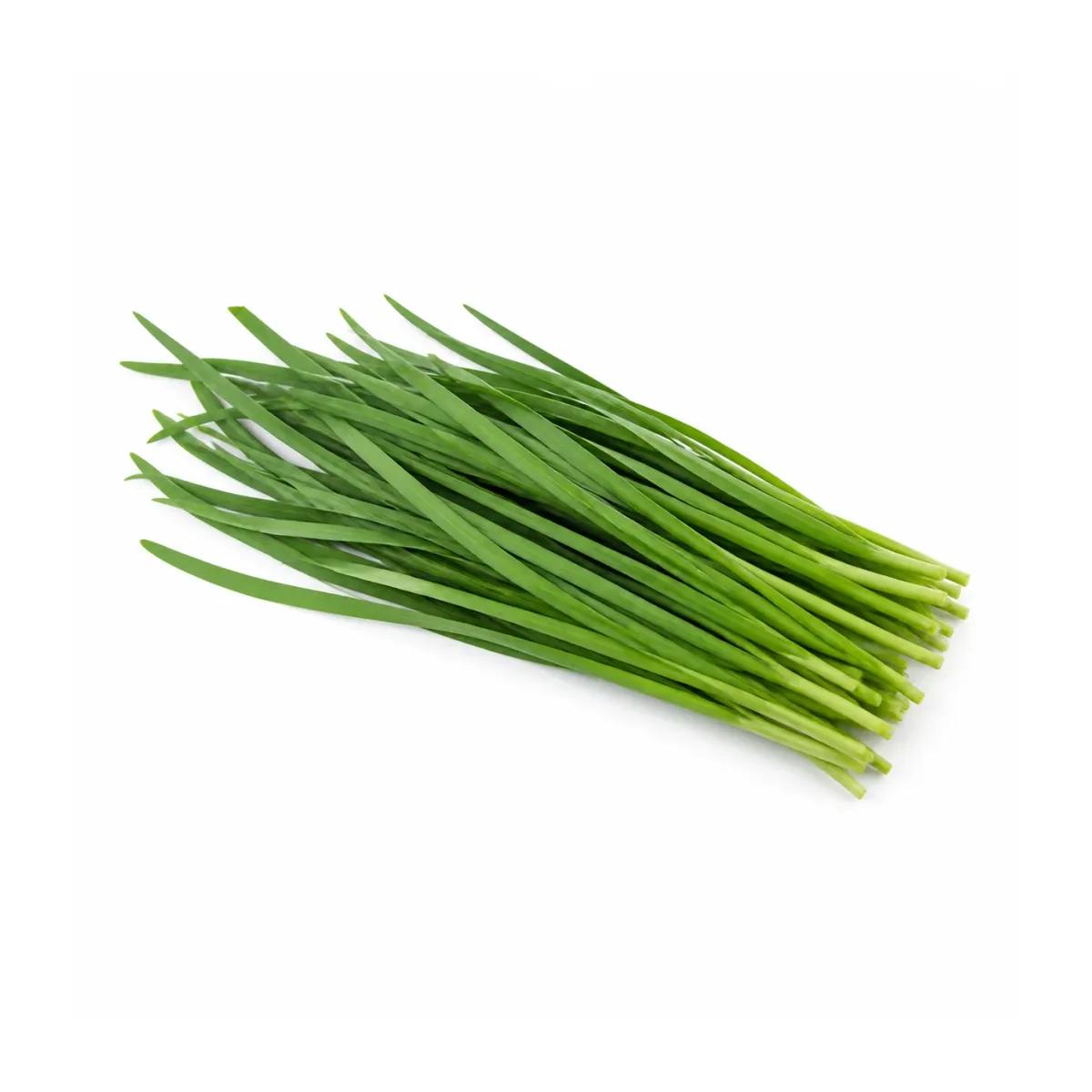 Garlic Chives