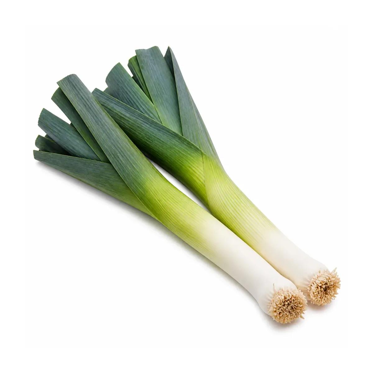 Leek