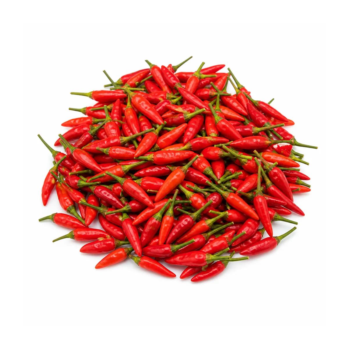 Red Bird Chilli