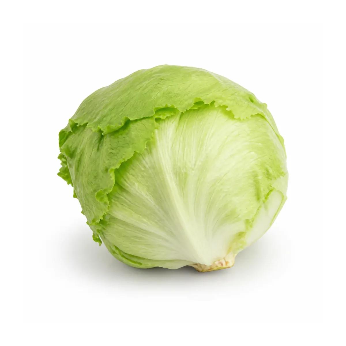 Iceberg Lettuce