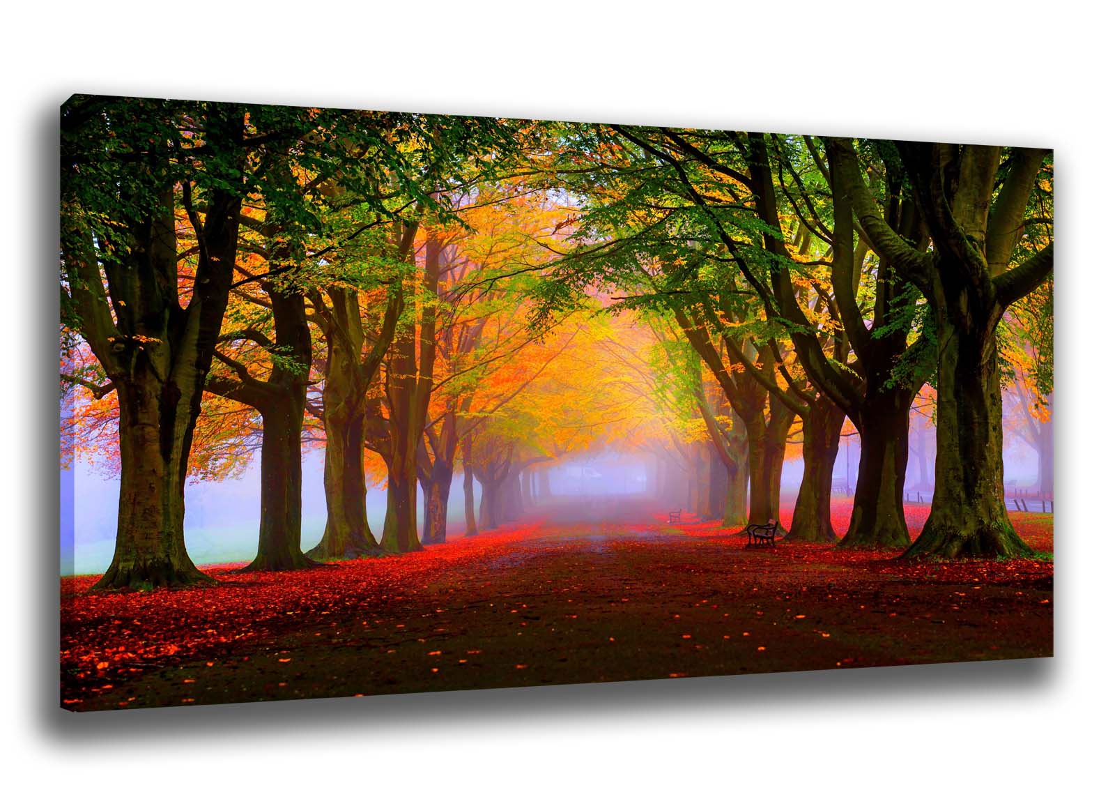 Large Wall Art Canvas Print of Autumn Fall Forrest Framed | eBay