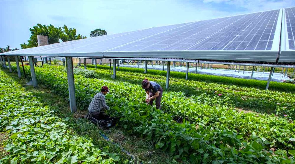 solar 250 kw