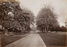 Hamilton Palace album of photographs by Thomas Annan before 1882, 221160/1 : Album 3 Number 12