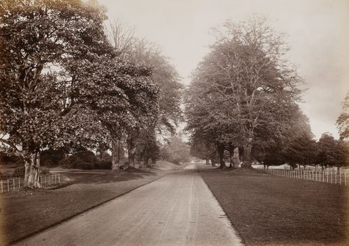 Hamilton Palace album of photographs by Thomas Annan before 1882, 221160/1 : Album 3 Number 12