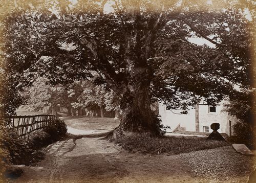 Hamilton Palace album of photographs by Thomas Annan before 1882, 221160/1 : Album 3 Number 15