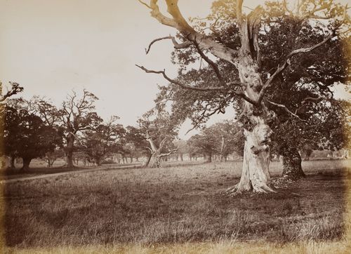 Hamilton Palace album of photographs by Thomas Annan before 1882, 221160/1 : Album 4 Number 18
