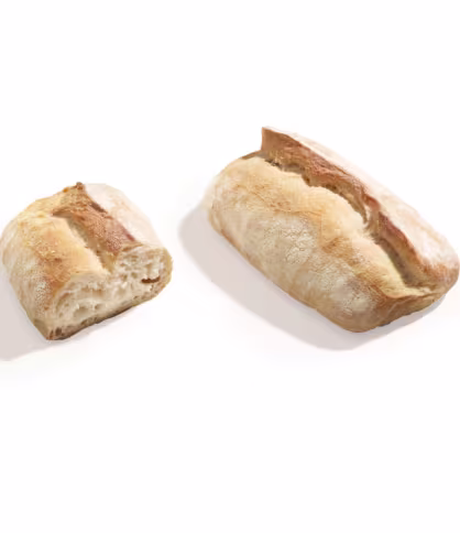 Pagnottella rustica 110