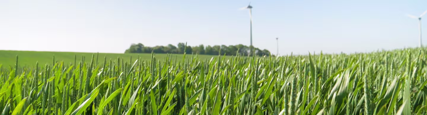 Sustainability / LLBG’s sustainability progress recognized by silver EcoVadis medal