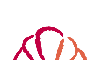 Product categories Icon