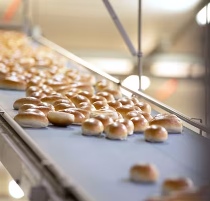 LLBG.com / Campaign / Wholesale / USPs / Thaw-and-serve and bake-off options