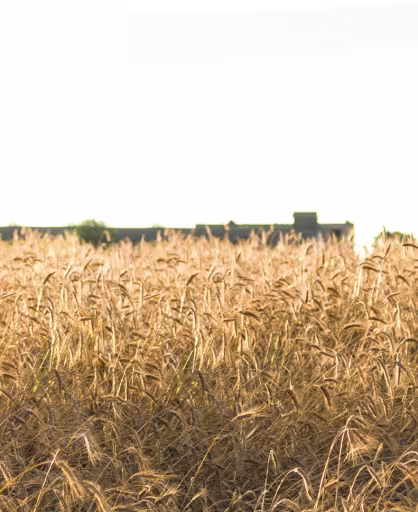 Sustainability / LLBG advances on carbon reduction roadmap: net-zero targets approved by Science-Based Targets initiative