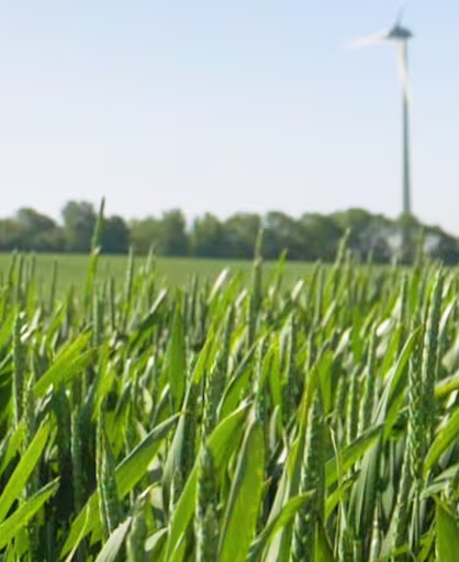 Sustainability / LLBG’s sustainability progress recognized by silver EcoVadis medal