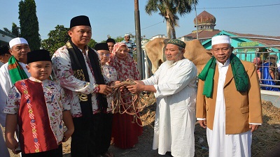 Mustafa Memberikan 10 Ekor Sapi Hewan Qurban