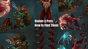 pet damage diablo 3