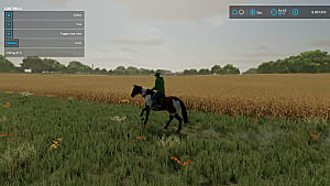 Farming Simulator 22 Animal Husbandry Guide: How to Raise Animals | Farming Simulator 22 Farming Simulator 22 Animal Husbandry Guide: How to Raise Animals | Farming Simulator 22