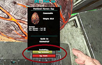 Stealing And Hatching Wyvern Eggs In Ark S Scorched Earth Dlc Ark Survival Evolved