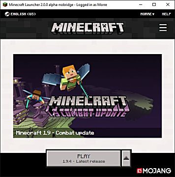 minecraft won