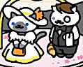 neko atsume cheats jeeves and sapphire