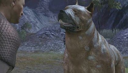 dragon age origins dog