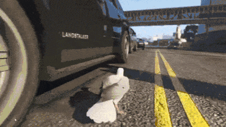 20 Gta 5 Gifs To Make Your Day Better For birds, glass windows are worse than invisible. 20 gta 5 gifs to make your day better