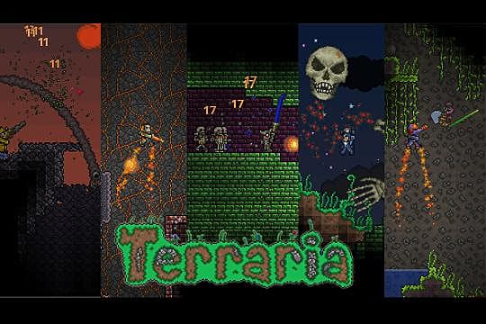 Terraria 1 2 3 Update Dyed Wings Terraria