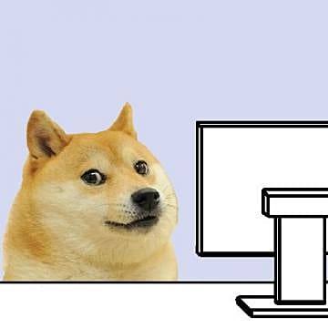 The Truth About the Doge Meme's Face