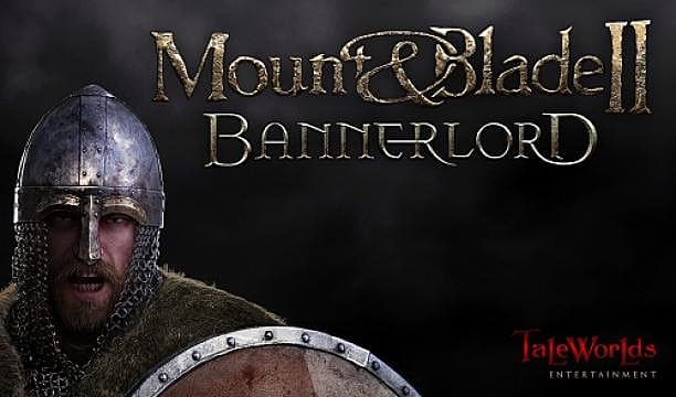 mount blade 2 bannerlord multiplayer