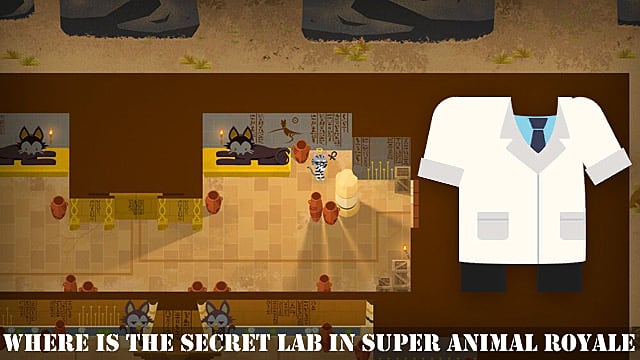 Super Animal Royale: Where is the Secret Lab | Super Animal Royale