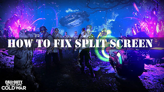 Horn fond facet Black Ops Cold War: Zombies Split Screen Fix | Call of Duty Black Ops Cold  War