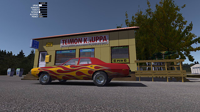 my summer car