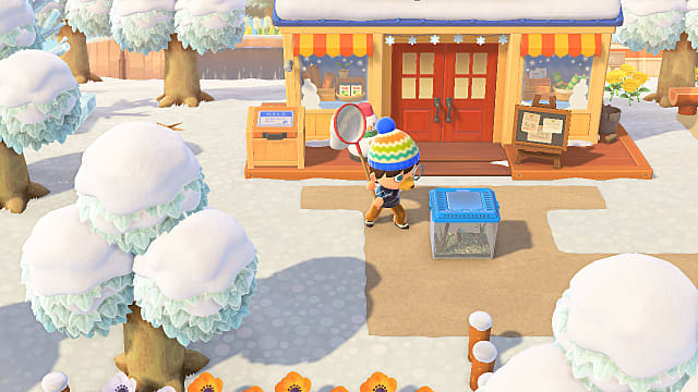 Animal Crossing  New Horizons January Bugs List   Animal Crossing  New Horizons - 30