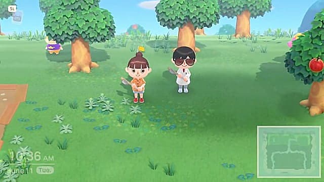 switch animal crossing 2 player