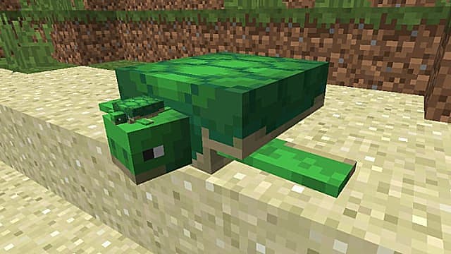 How Breed Turtles Minecraft | Minecraft