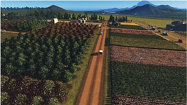 A dirt road cuts through farm land with trees on one side, green and brown crops on the other