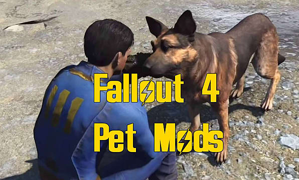 Fallout Dogmeat Porn - Best Fallout 4 Pet Mods | Fallout 4