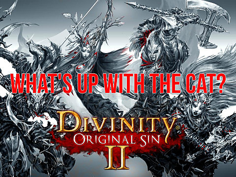 divinity original sin 2 black cat died