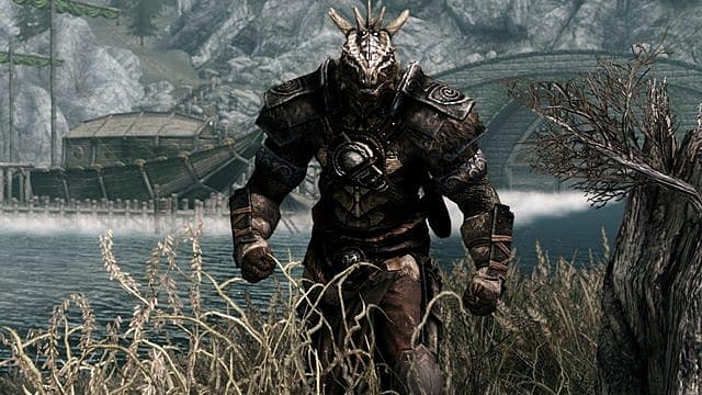 Skyrim best warrior tank build