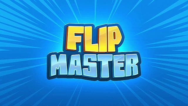 flip masters llc