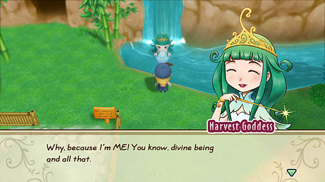 story of seasons friends of mineral town switch price